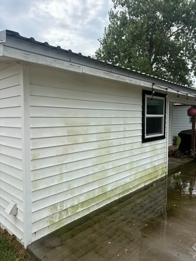 White vinyl-sided house with green algae streaks before washing
